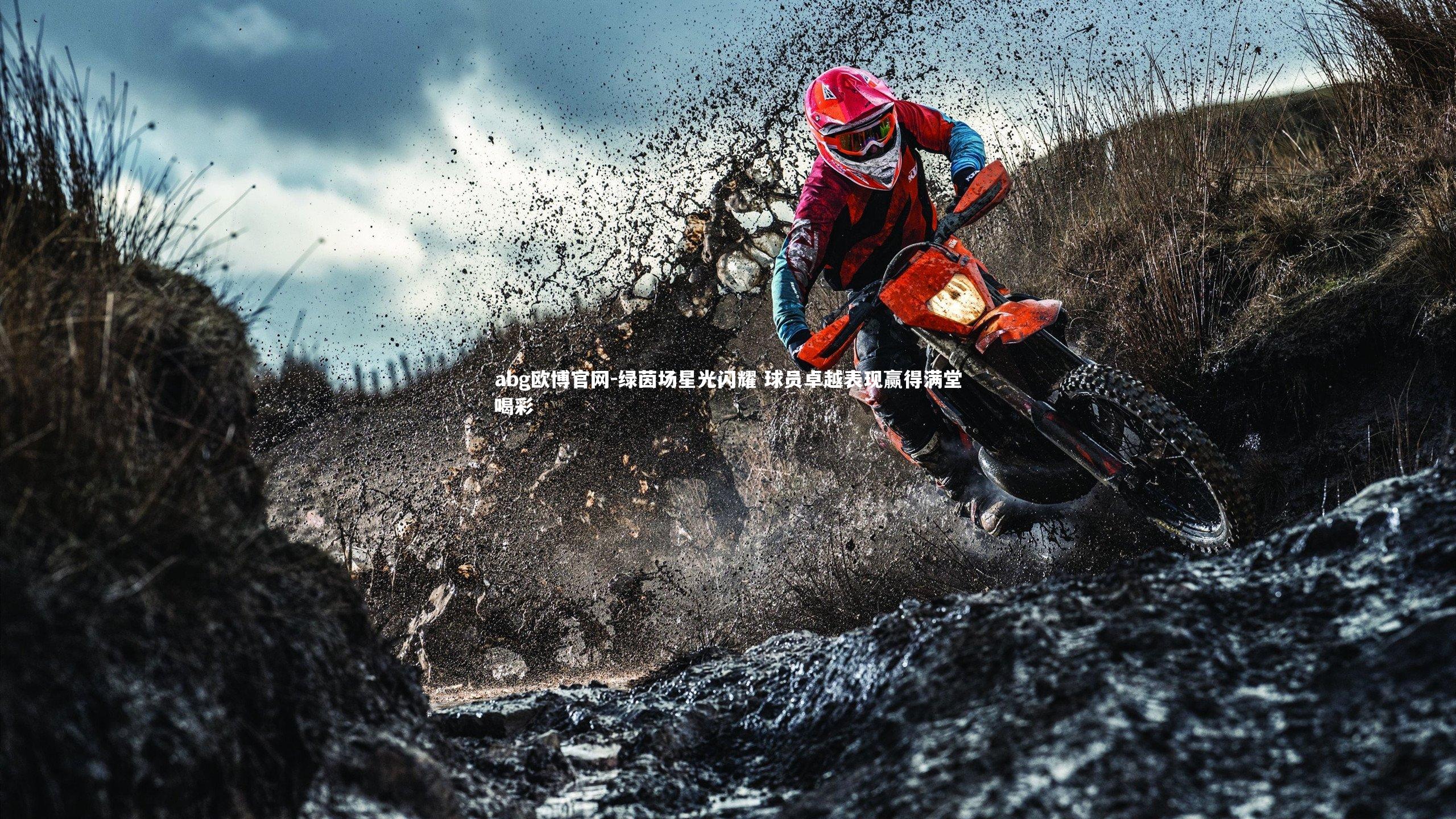 绿茵场星光闪耀 球员卓越表现赢得满堂喝彩