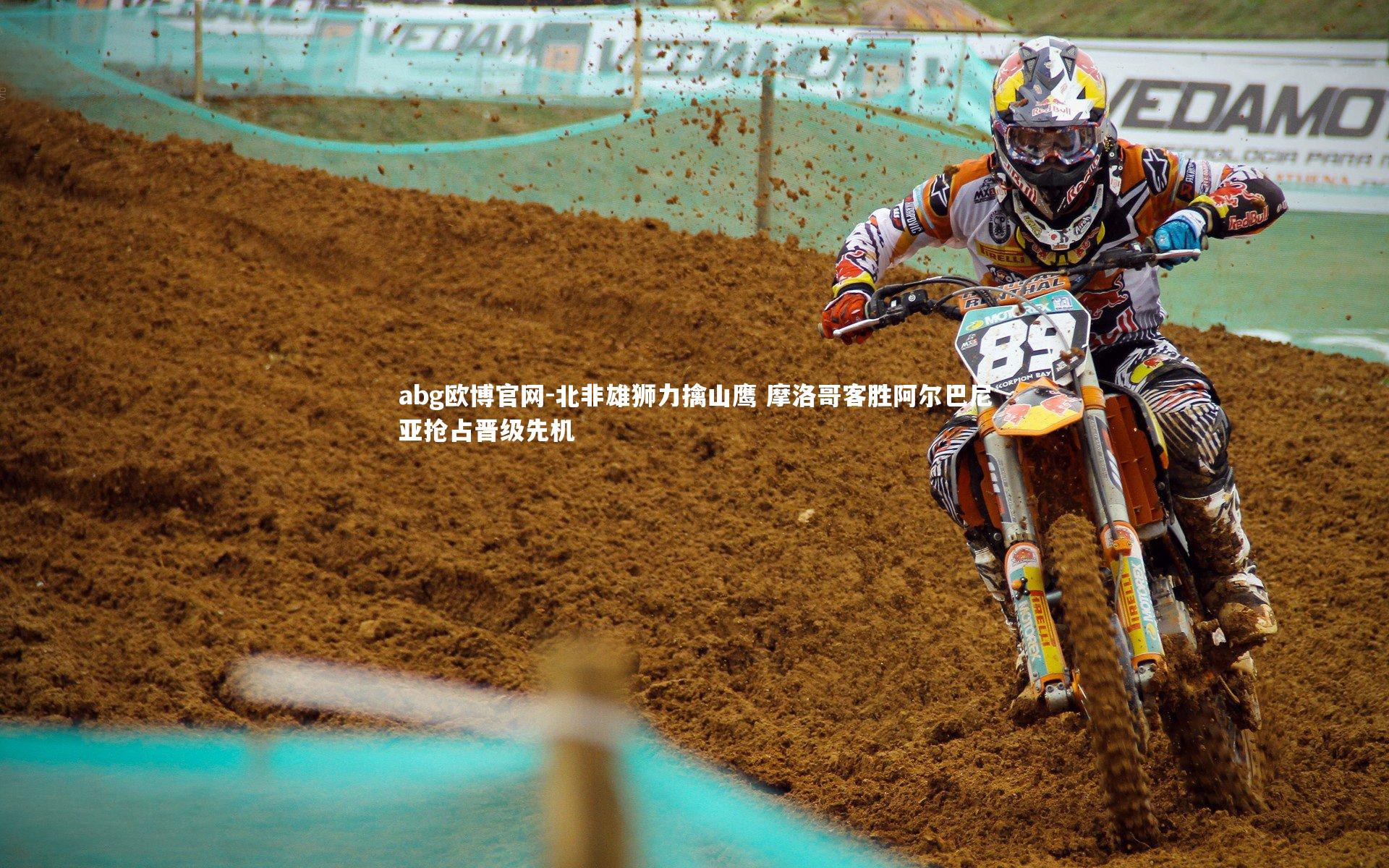 北非雄狮力擒山鹰 摩洛哥客胜阿尔巴尼亚抢占晋级先机