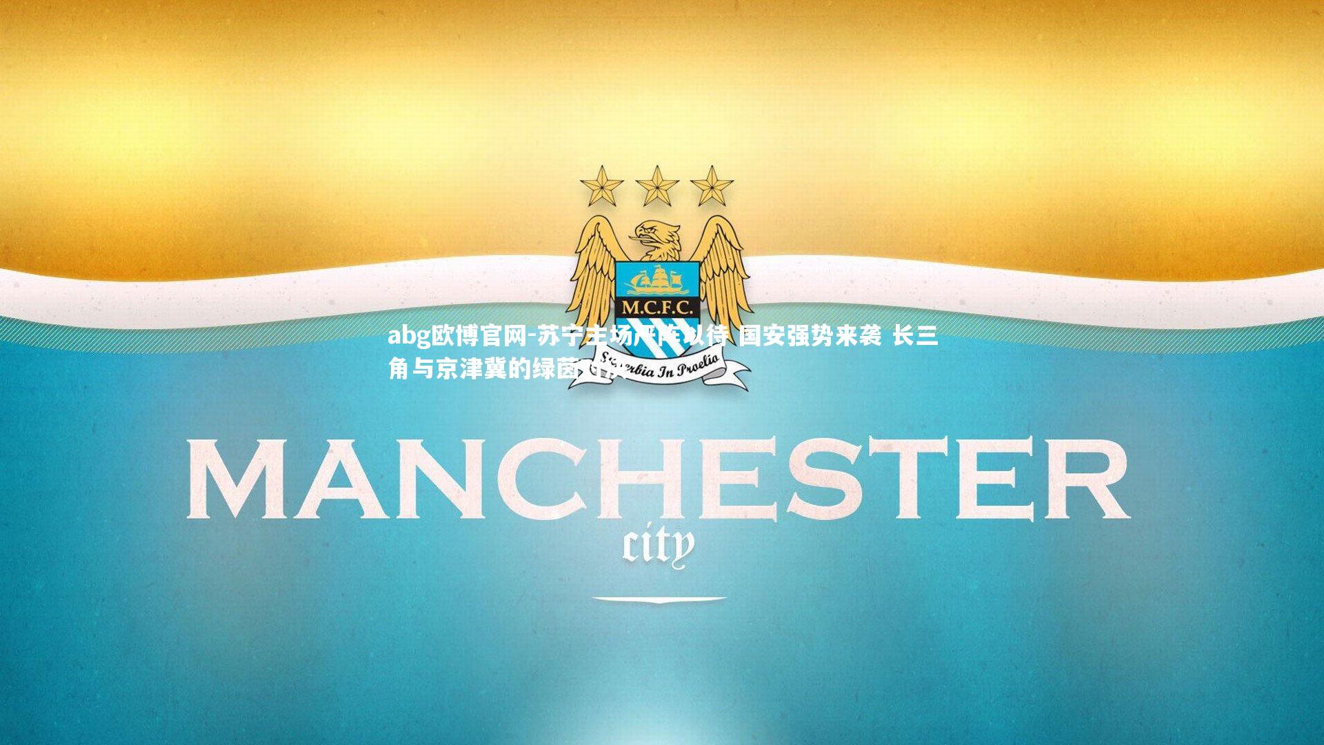 abg欧博官网-苏宁主场严阵以待 国安强势来袭 长三角与京津冀的绿茵对决