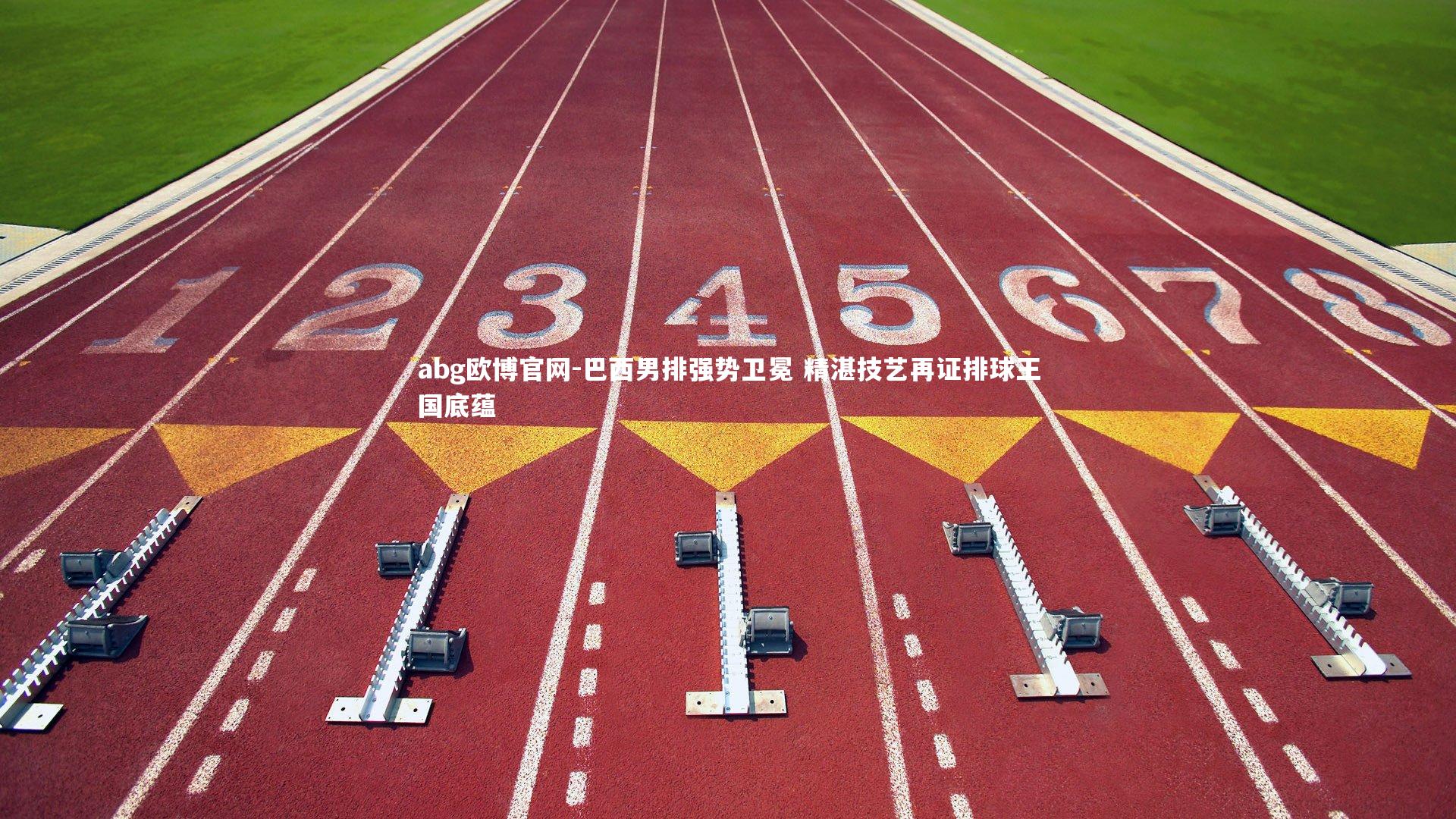 巴西男排强势卫冕 精湛技艺再证排球王国底蕴