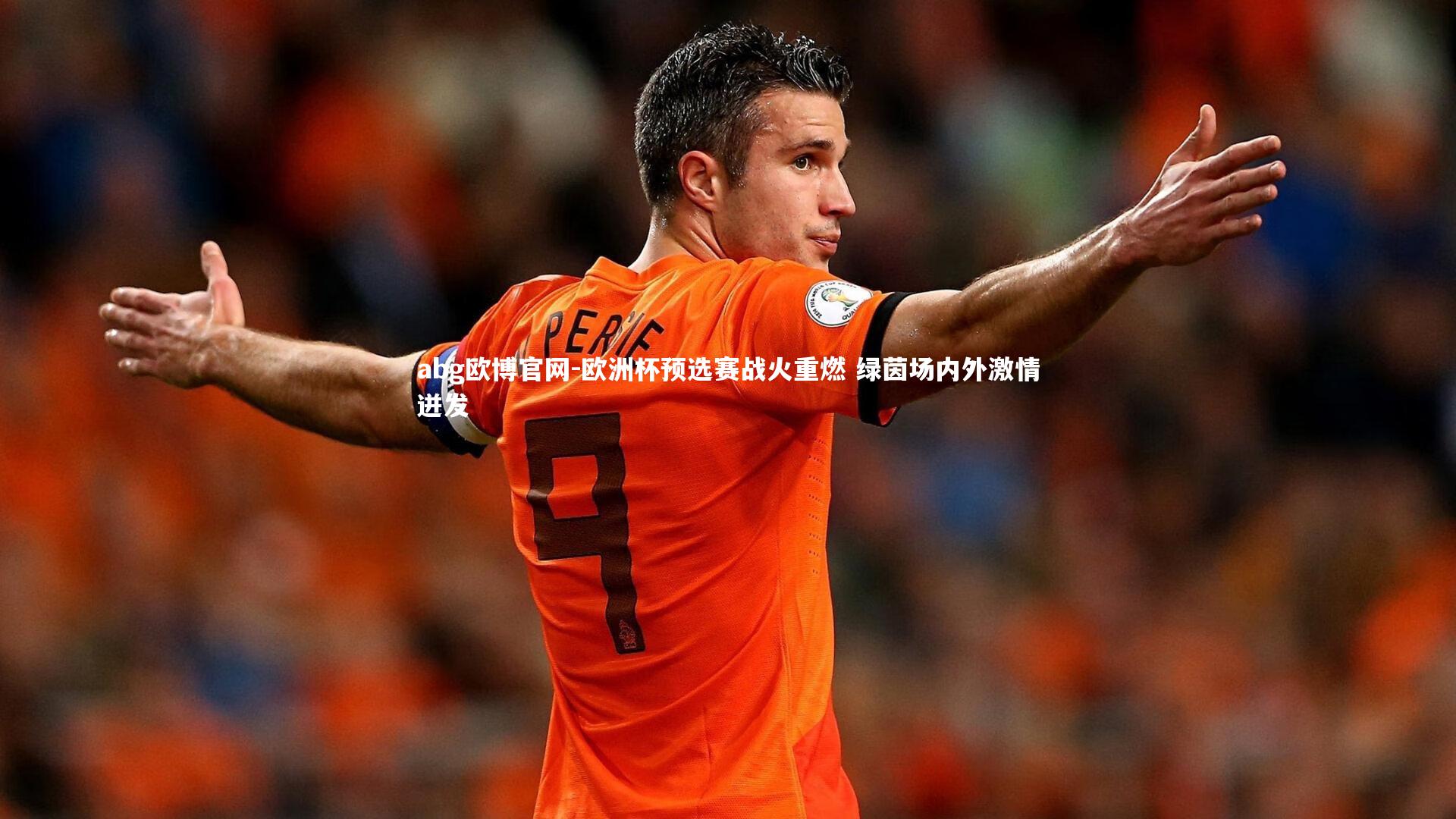 欧洲杯预选赛战火重燃 绿茵场内外激情迸发